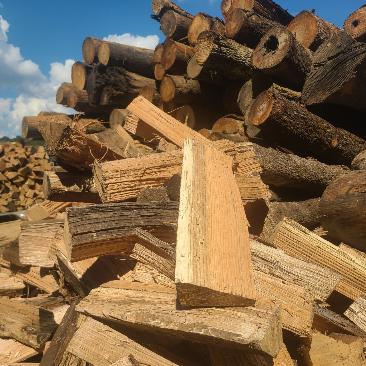 Red Oak Firewood